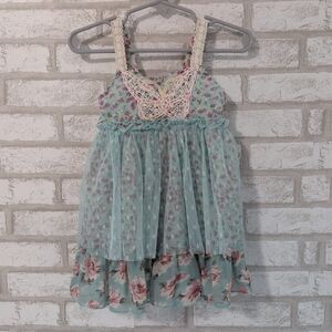 Baby Sara Butterfly Dress Size 2T Floral Tulle